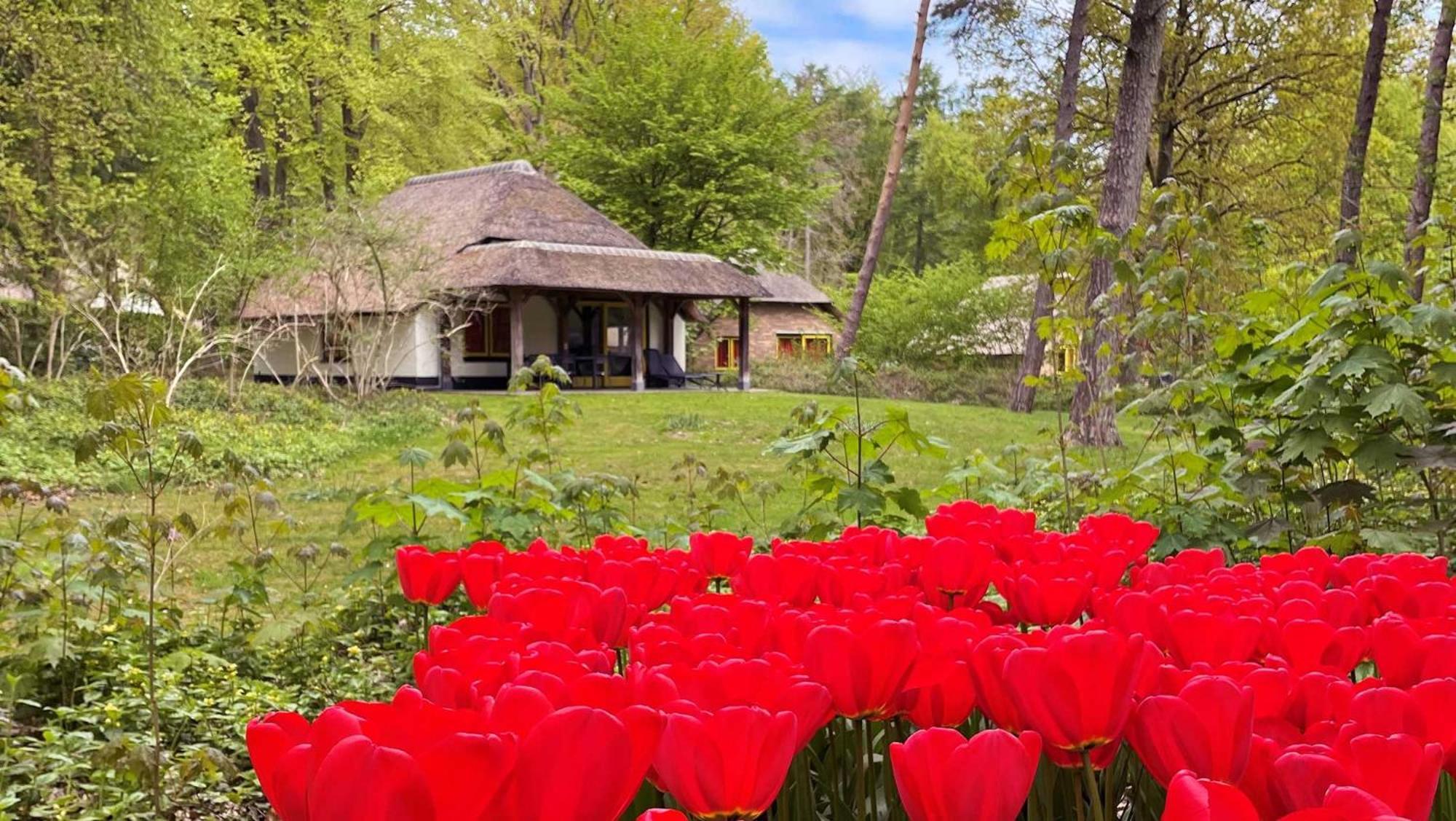 Molecaten Park De Leemkule ฮาเทม ห้อง รูปภาพ